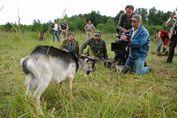 Днепровский рубеж (2009)