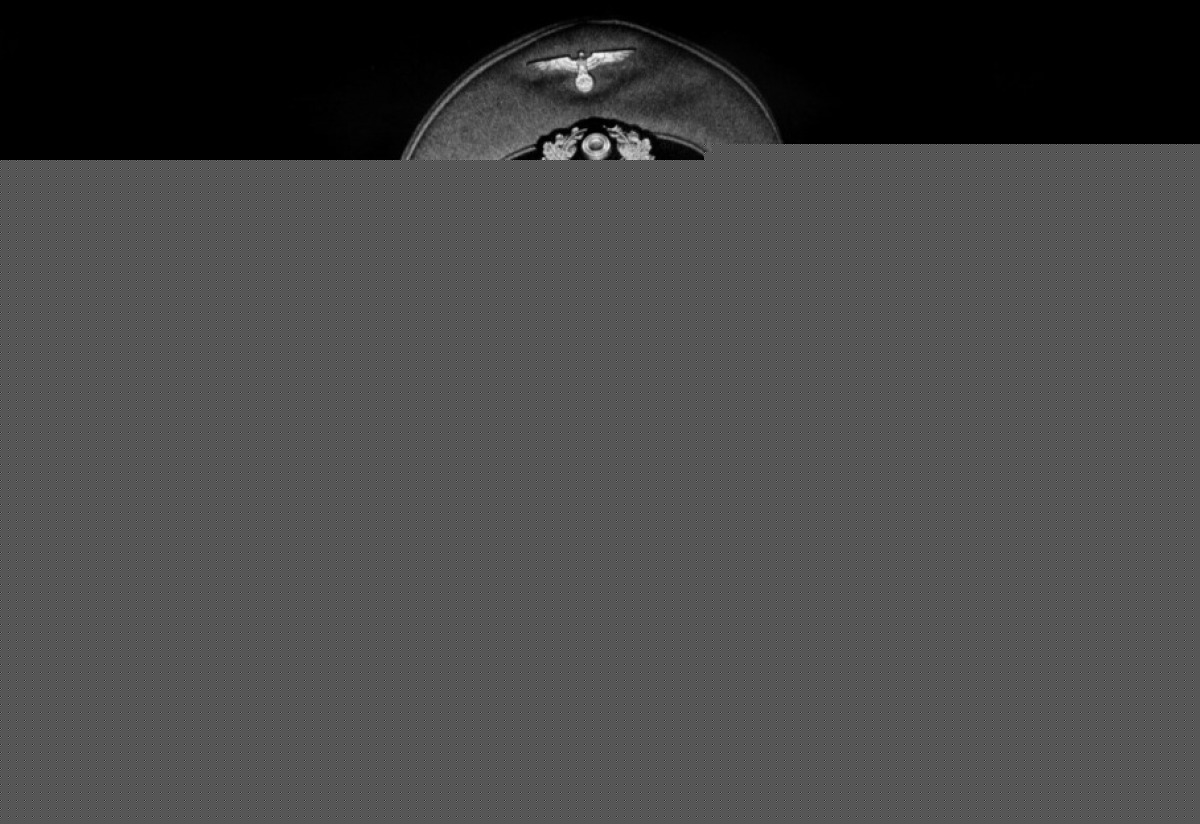 Кадры из Молчание моря (1949)