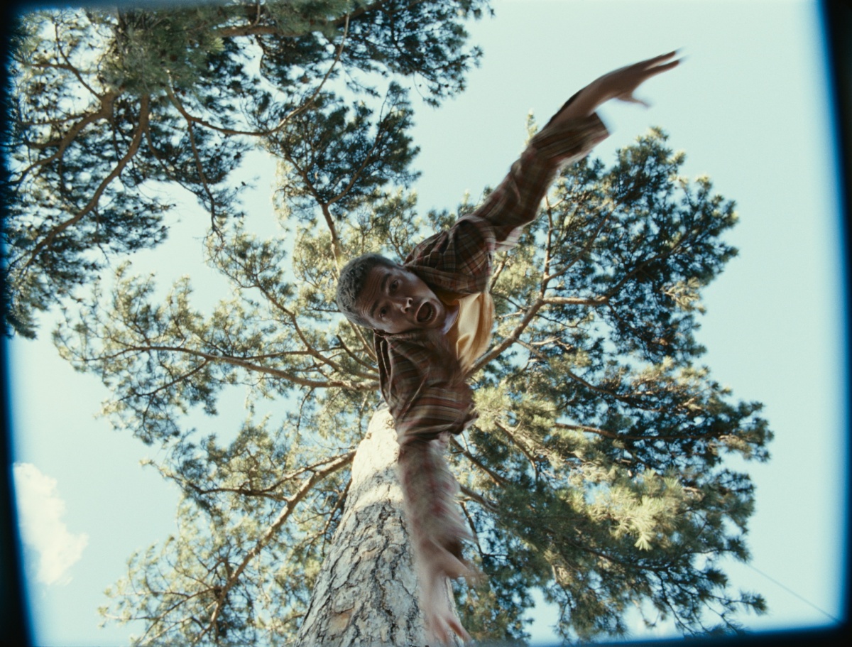 Кадры из V Центурия. В поисках зачарованных сокровищ (2012)