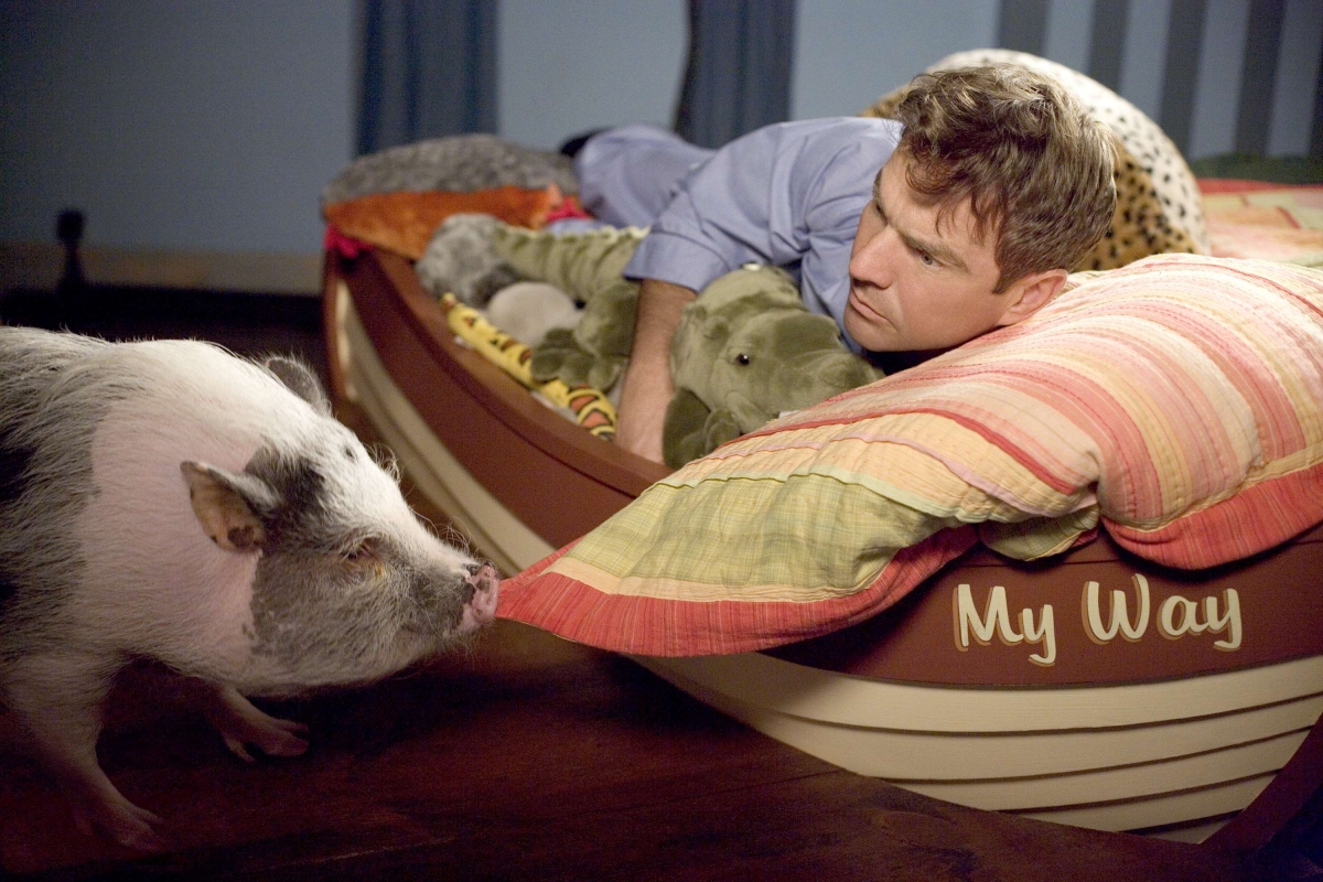 Кадры из Твои, мои и наши (2005)