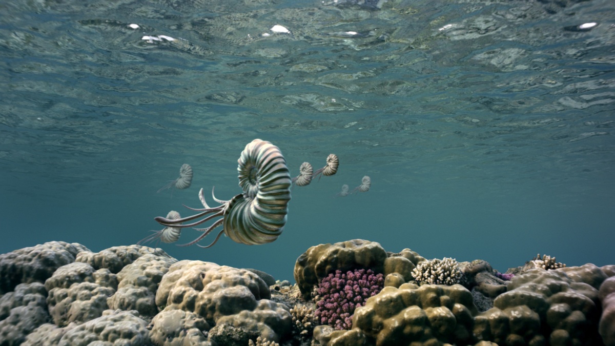 Морские динозавры 3D: Путешествие в доисторический мир (2010)