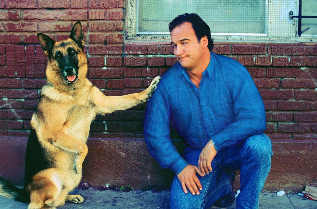 Кадры из К-911: Собачья работа 2 (2000)