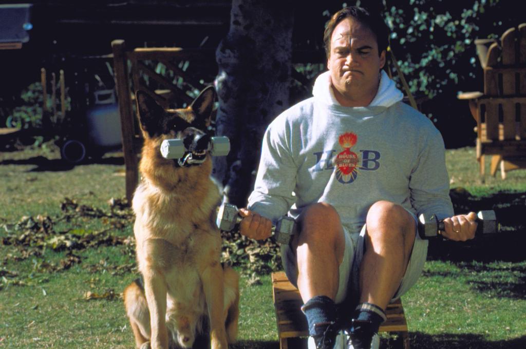 Кадры из К-911: Собачья работа 2 (2000)