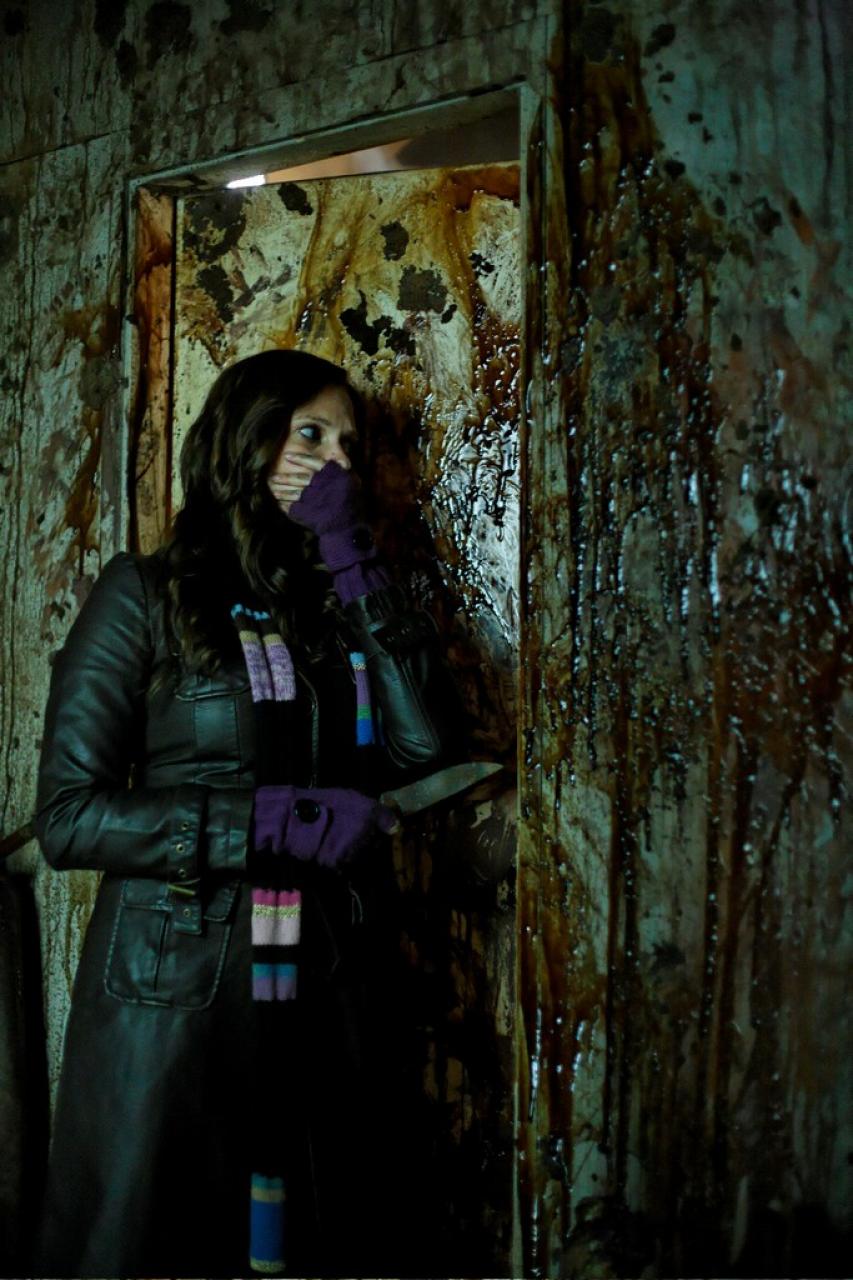 Поезд дальше не идет (2008)