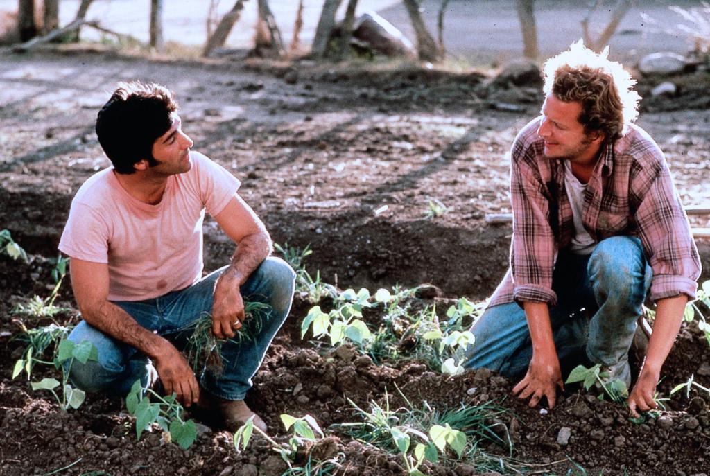 Кадры из Война на бобовом поле Милагро (1988)