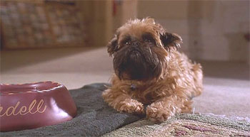 Кадры из Лучше не бывает (1997)