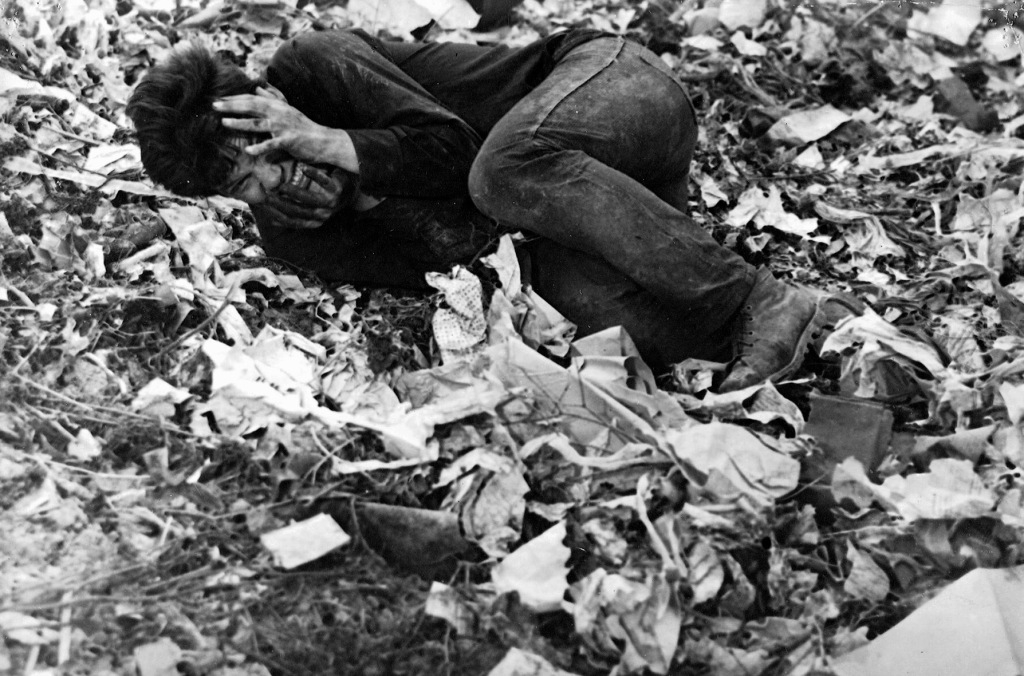 Кадры из Пепел и алмаз (1958)