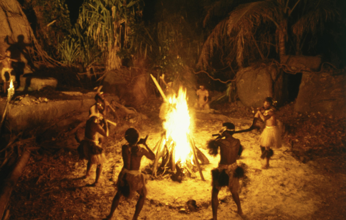 Голубая лагуна (1980)