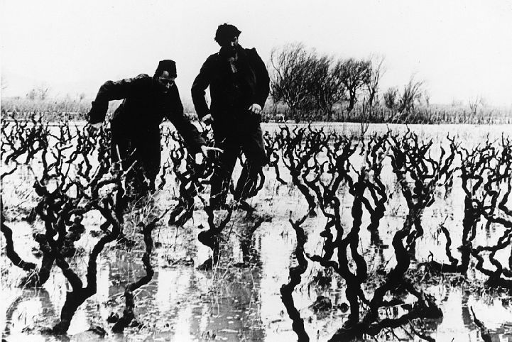 Кадры из Три (1965)