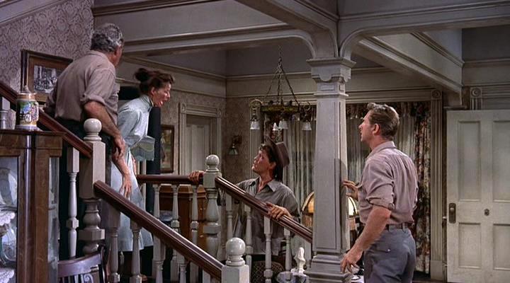 Кадры из Продавец дождя (1956)