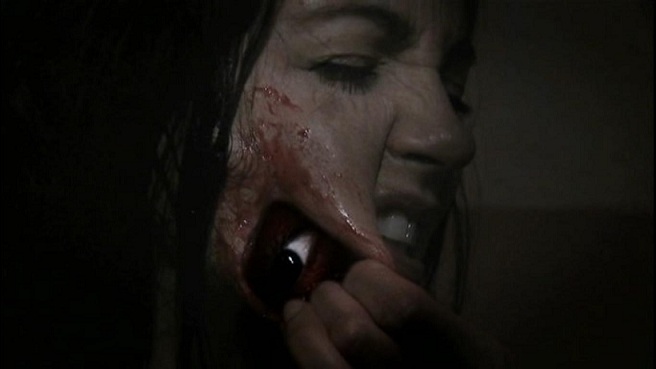 Цвет из тьмы (2008)