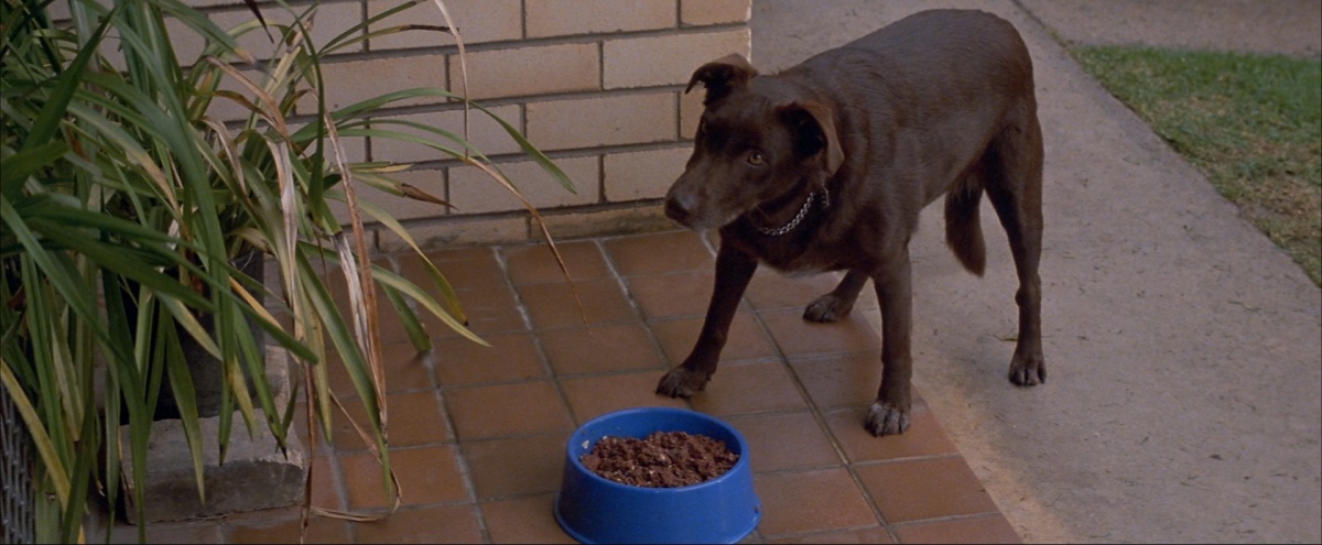 Долгий уикенд (1979)