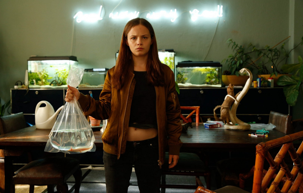 В стране аксолотлей (2017)