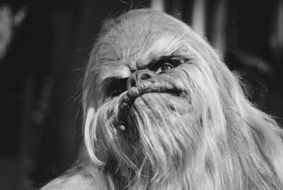 Звездные войны: Праздничный спецвыпуск (1978)