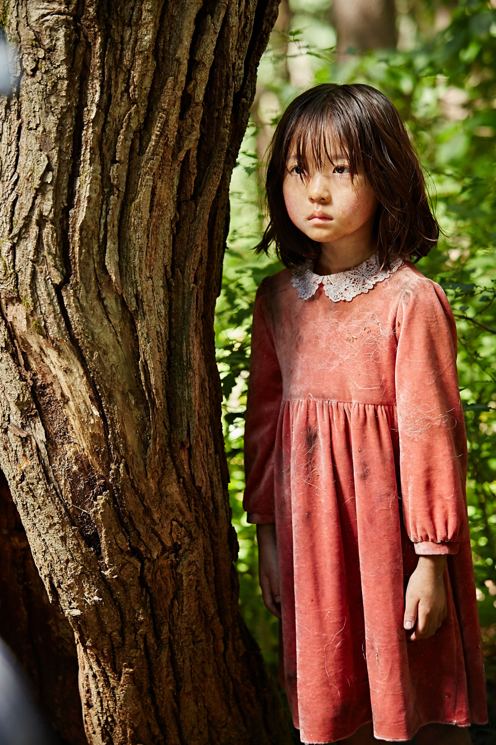 Мимикрия (2017)