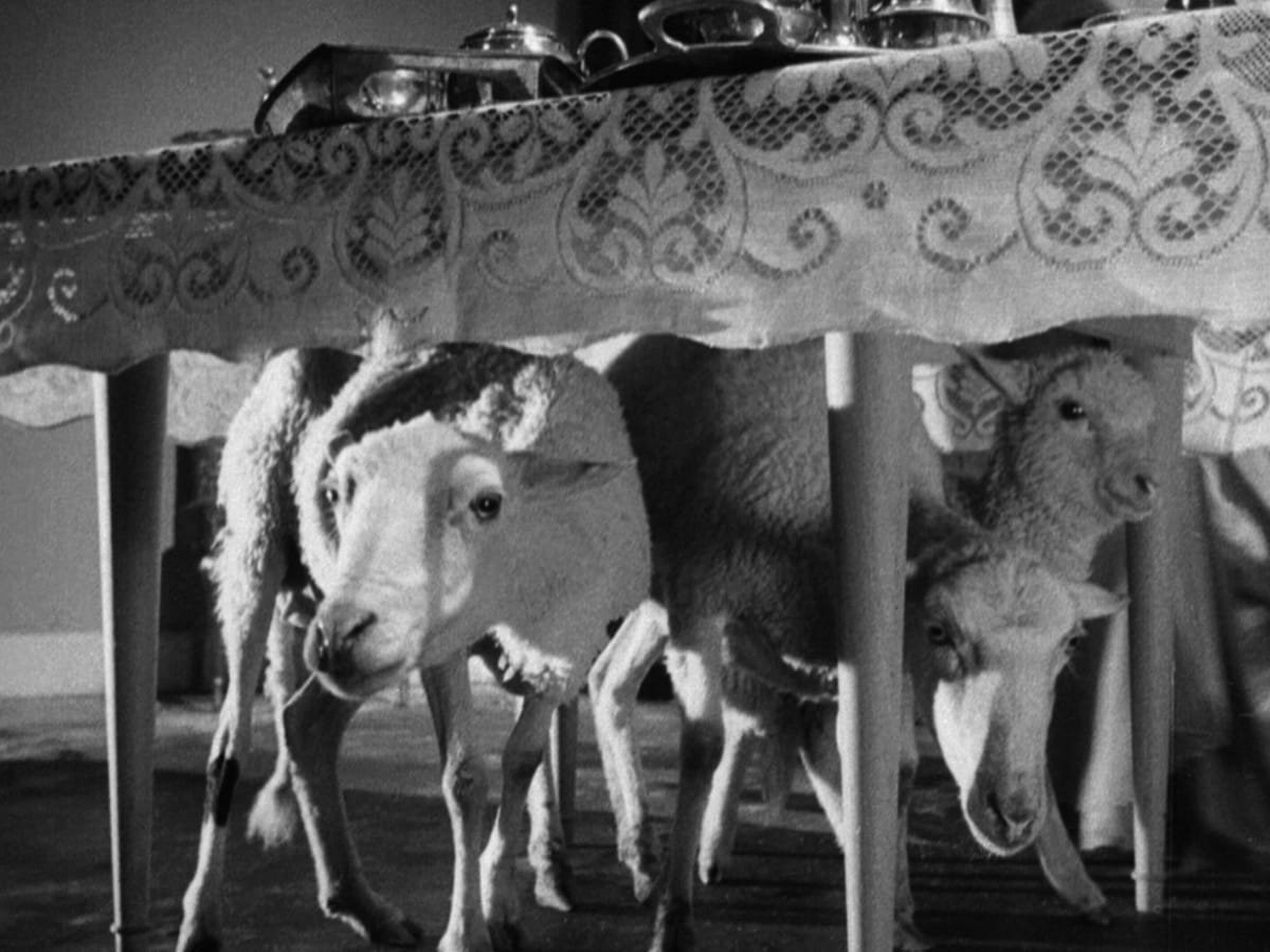 Кадры из Ангел-истребитель (1962)