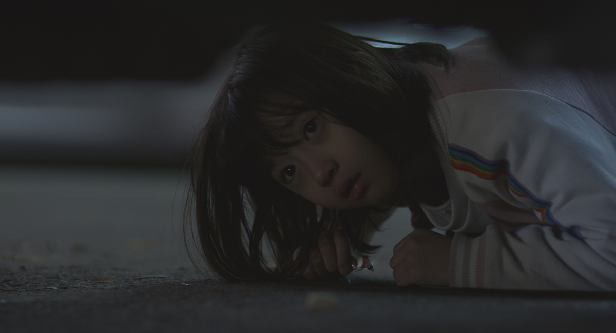 Открылась дверь в ночь (2019)