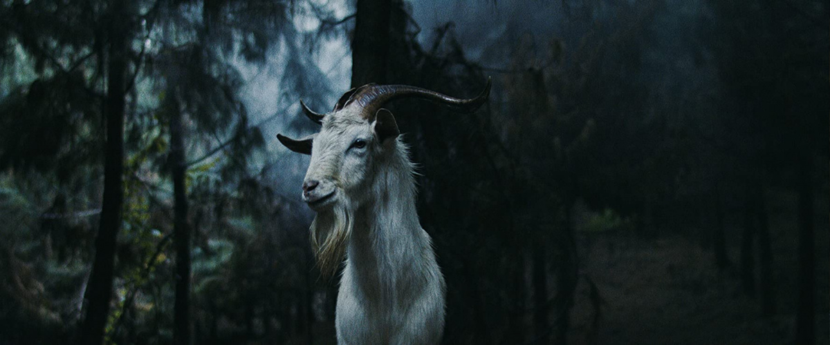 Ведьма. История Лус (2019)