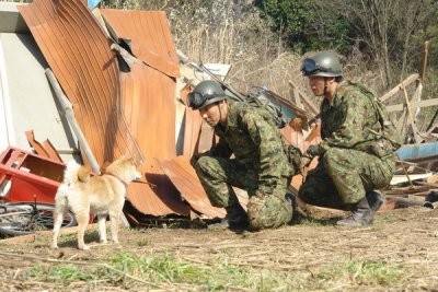 История Мари и трёх щенков (2007)