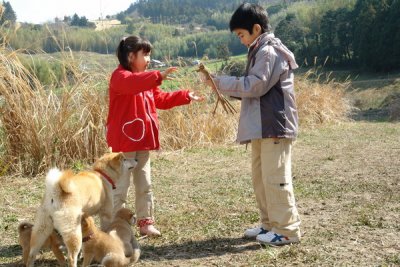 История Мари и трёх щенков (2007)