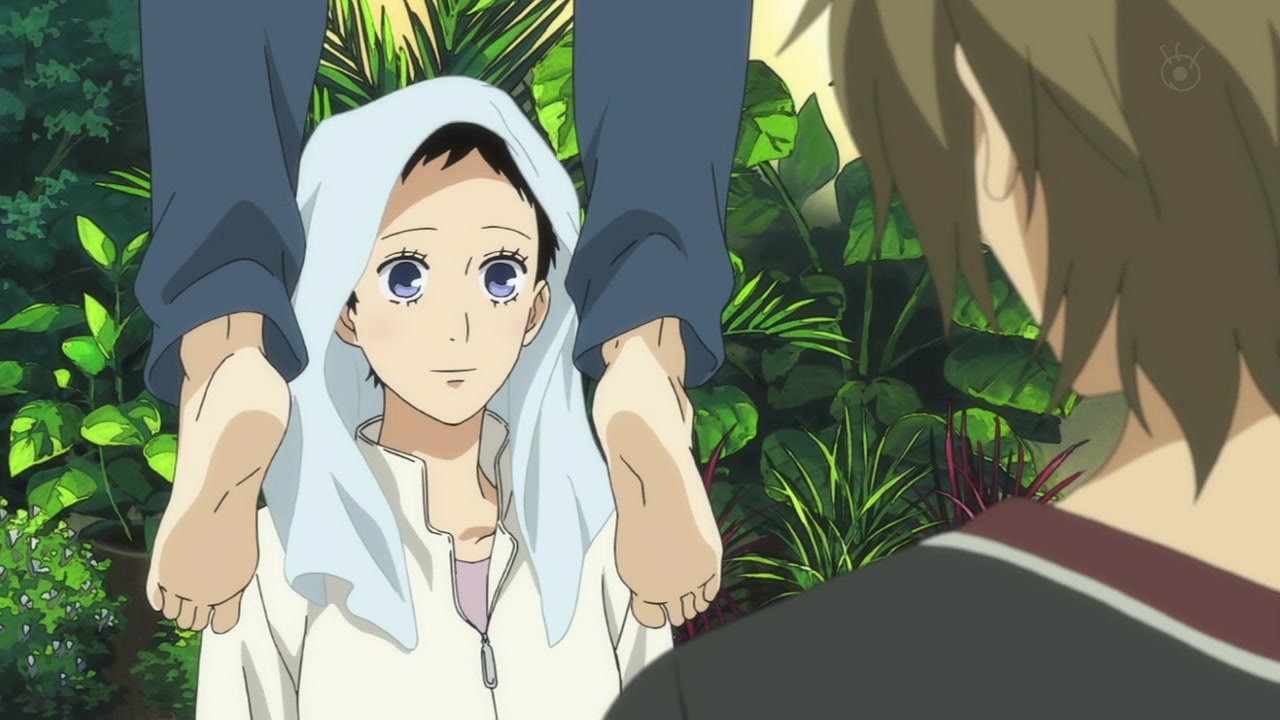 Встреча снежным летом (2012)