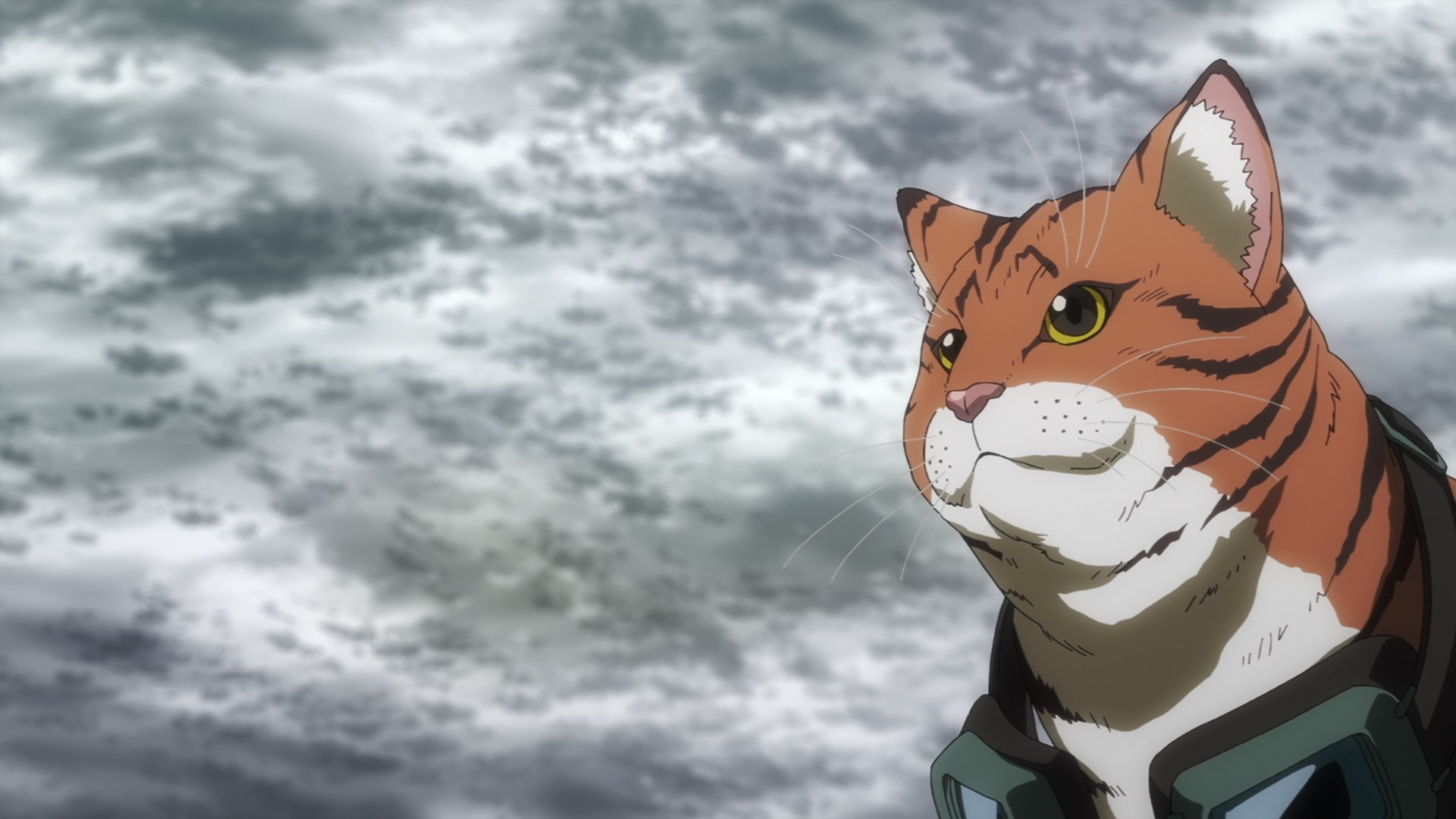 Ночь живых кошаков (2025)