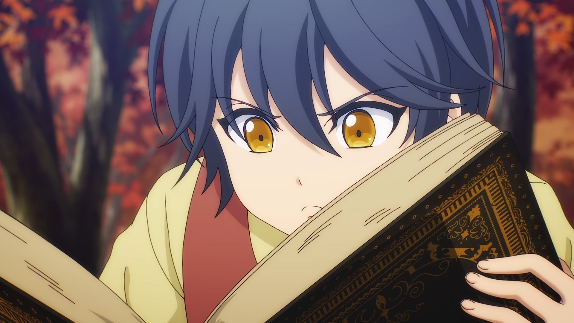 Кадры из Придворный маг, пользовавшийся лишь магией поддержки, потому что его союзники слишком слабы, решил стать сильнейшим после изгнания (2025)