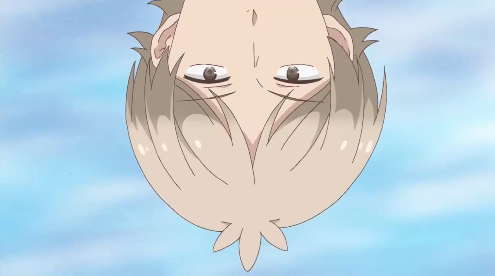 Аккун и его девушка (2018)