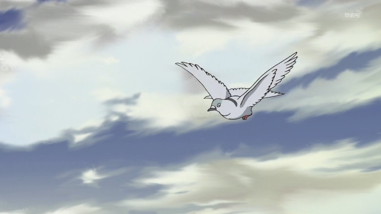 Куми и тюльпан (2015)