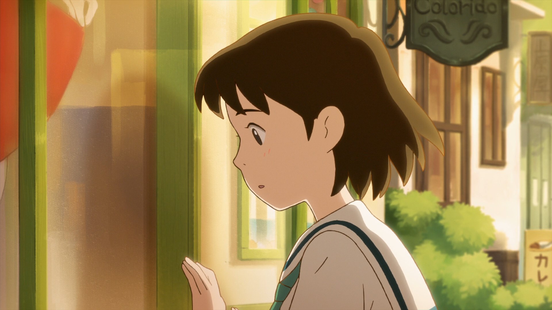 Сад чудес (2013)