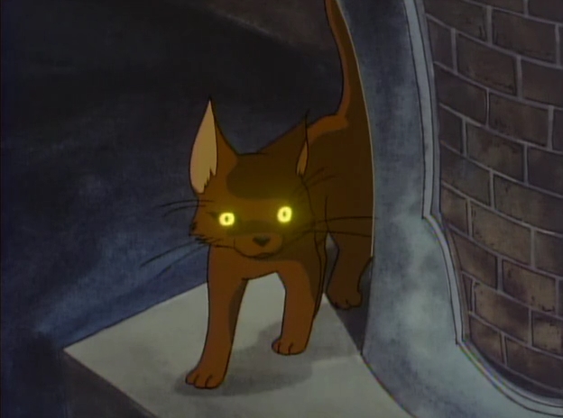 Кадры из Зелёный кот (1983)