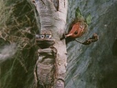 Приключения домовёнка Кузи (1986)