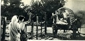 Служба (1955)
