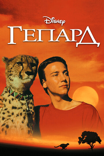 Смотреть Гепард онлайн в HD качестве 720p