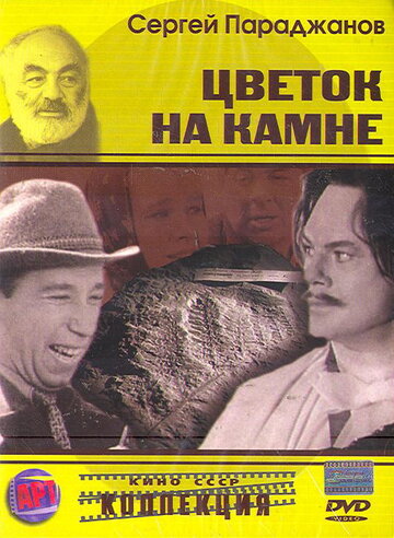 Смотреть Цветок на камне онлайн в HD качестве 720p