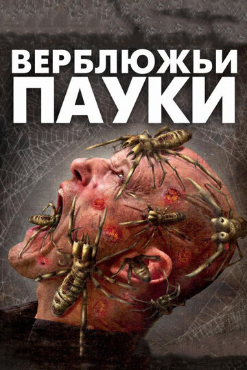 Смотреть Верблюжьи пауки онлайн в HD качестве 720p