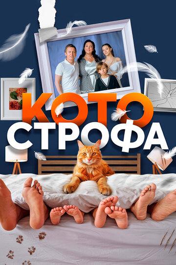 Смотреть Котострофа онлайн в HD качестве 720p