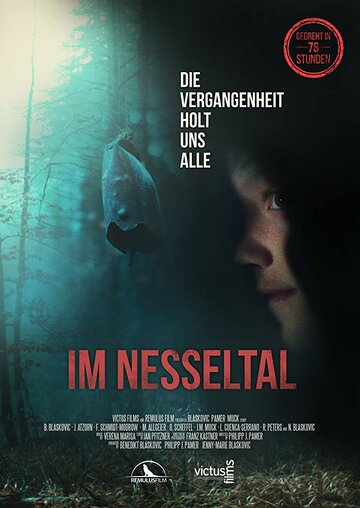 Смотреть В Крапивной долине онлайн в HD качестве 720p