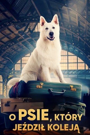 Смотреть Лампо. Невероятное путешествие онлайн в HD качестве 720p