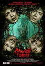 Смотреть Лес призраков на хдрезка онлайн в HD качестве 720p
