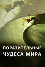 Смотреть Поразительные чудеса мира на HDrezka онлайн в HD качестве 720p