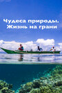 Смотреть Чудеса природы. Жизнь на грани онлайн в HD качестве 