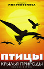 Смотреть Птицы: Крылья природы на хдрезка онлайн в HD качестве 720p