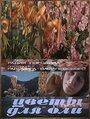 Смотреть Цветы для Оли на HDrezka онлайн в HD качестве 720p