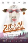 Смотреть Целуй, дубина 2! Безумная невеста на хдрезка онлайн в HD качестве 720p