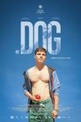 Смотреть .Собака на хдрезка онлайн в HD качестве 720p