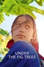 Смотреть Под фиговыми деревьями на хдрезка онлайн в HD качестве 720p
