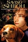 Смотреть Спасая Шайло на HDrezka онлайн в HD качестве 720p