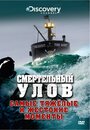 Смотреть Discovery. Смертельный улов на HDrezka онлайн в HD качестве 720p