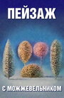 Смотреть Школа изящных искусств. Пейзаж с можжевельником на HDrezka онлайн в HD качестве 720p